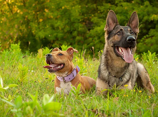 10 Things Not Covered by Your Home Insurance