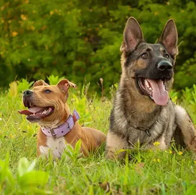 10 Things Not Covered by Your Home Insurance