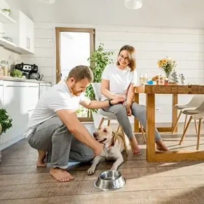 A cheerful couple in a bright kitchen, with wooden floors and large windows, playfully petting a golden retriever next to a metal food bowl.