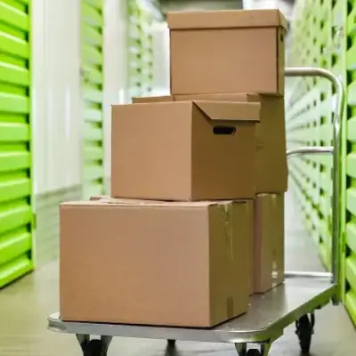 A stack of cardboard boxes on a wheeled cart is placed in a corridor between bright green storage lockers, conveying a sense of organization and mobility.