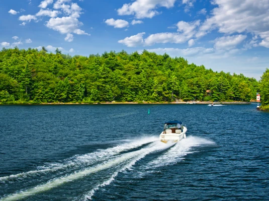 Insuring Summer Fun: Protecting Your Seasonal Toys