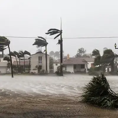 Stormy scene with strong winds bending palm trees, flooding a suburban street. Waterlogged homes in the background, creating a tense atmosphere.